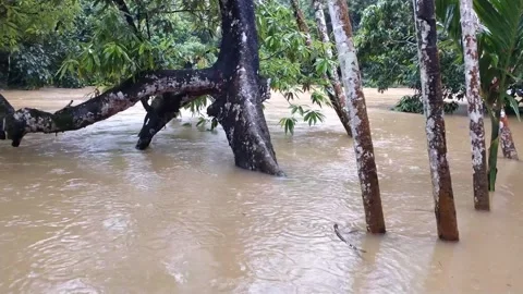 River Overflow Stock Footage 242603633