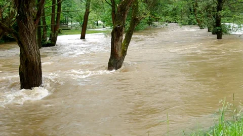 The river overflowed after heavy rain Stock Footage 38308751