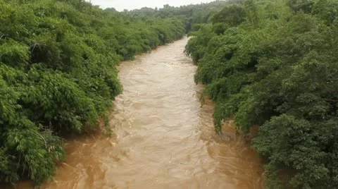 River Overflowed Vídeo Stock 21177318