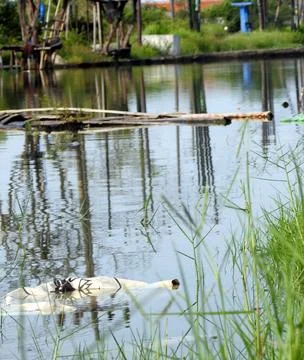 A River Overflowing with Floating Logs Stock Photos