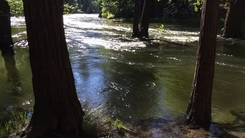River Overflowing Stock Footage 83470976