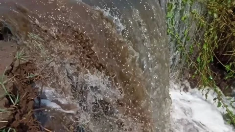 The river overflows Stock Footage 231212586