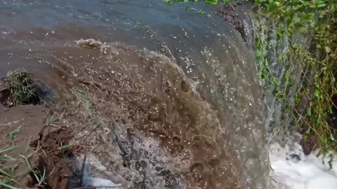 The river overflows Stock Footage 231212617