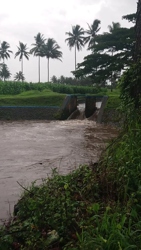 The river overflows when it rains Vídeos de archivo 221836509