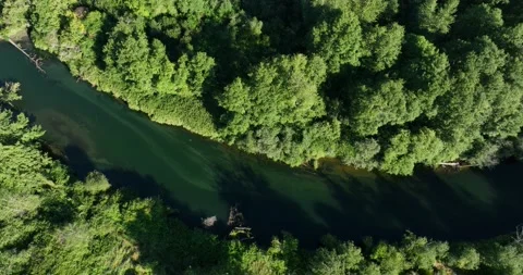 River overhead pan and track with lush foliage - 5K Video stock 226707662