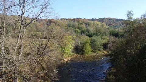 River overview in Bieszczady mountains Stock Footage 162974419