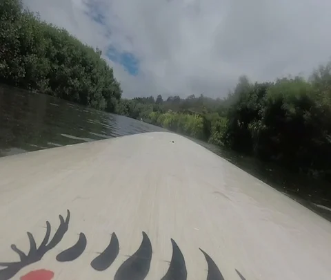 River Paddle Board Stock Footage 97426622