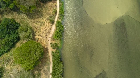 River Palomino Stock Footage 107038440