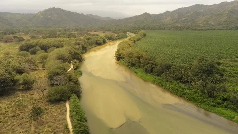 River Palomino Stock Footage 107038534