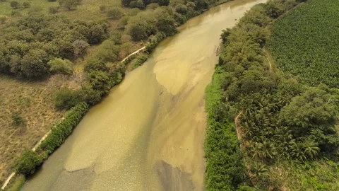 River Palomino Stock Footage 107038933