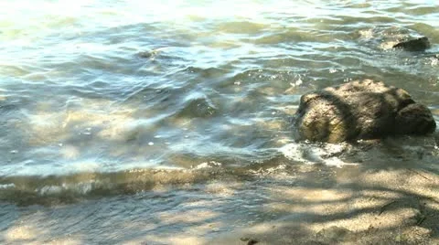 River pan up 動画素材 11070449