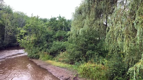 River Pan 動画素材 125024853