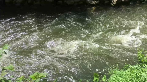 River Pan Up to Waterfall  動画素材 117140526