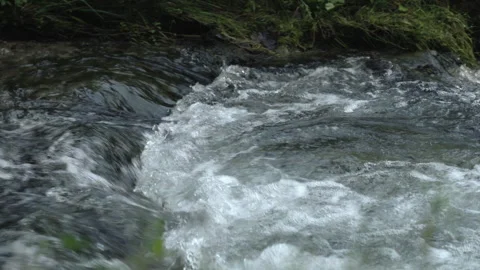 River with panning to the right Video stock 139132061