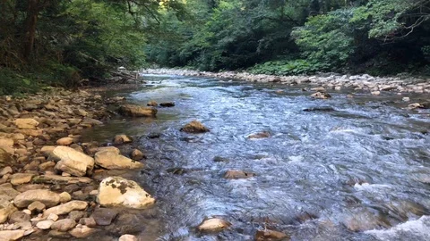 River panorama Stock Footage 114311505