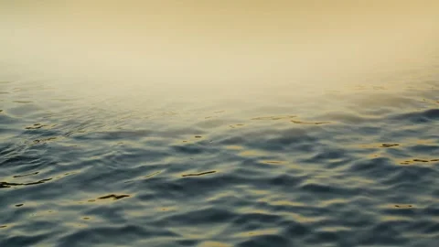 The river in Paris with fog Stock Footage 340207825