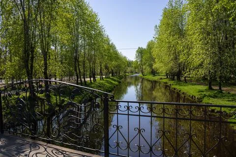 River in the park between trees with the reflection of trees. Forged bridge. Stock Photos