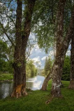 A river in the park with ducks Stock Photos