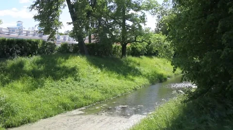 River in the park Vidéo 6460515