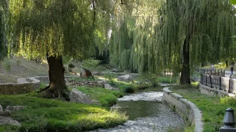 River in the park Stock Footage 8909274