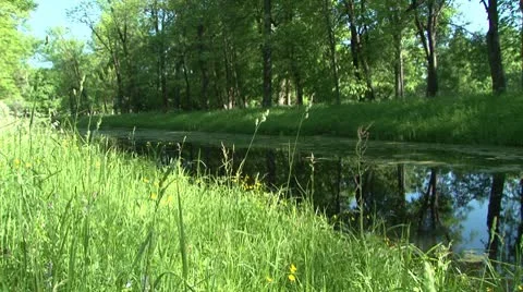 River in the park Видео 8961729