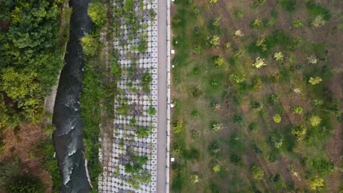 River in the park Stock Footage 168575411