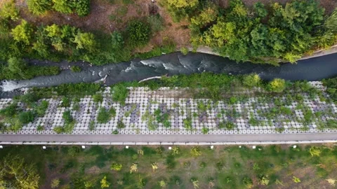 River in the park Stock Footage 202652773