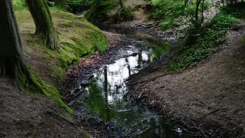 River in a park Foto stock