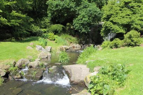 River in a park Stock Photos
