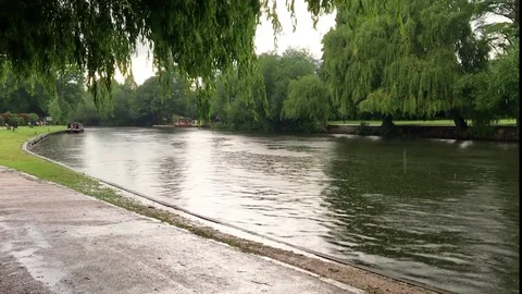 River in park on rainy day 動画素材 72776186