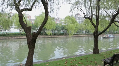 River Park Shanghai Stock Footage 44421623