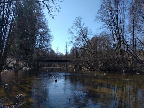 The river in the park in the spring Stock Photos