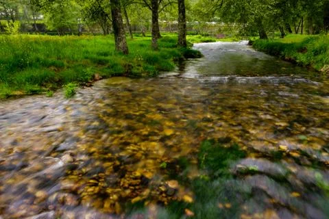 River passes between the trees Stock Photos