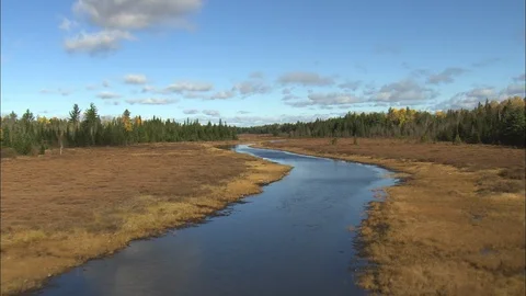 River passing through the forest, Low, following river, Maine Stock Footage 109136358