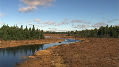 River passing through the forest, Low, following river, Maine Vidéo 109136384