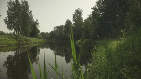 A river passing through green forest and meadows in a sunny summer day Stock Footage 161153457