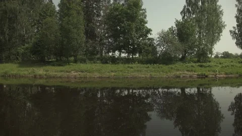 A river passing through green forest and meadows in a sunny summer day Stock Footage 161153458