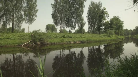 A river passing through green forest and meadows in a sunny summer day Stock Footage 161153518