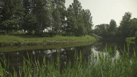 A river passing through green forest and meadows in a sunny summer day Stock Footage 161153524