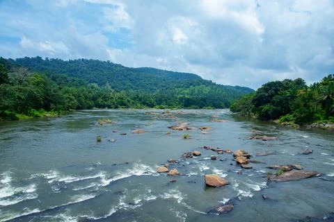 A river passing through thick rainforest at day time photo Stock Photos