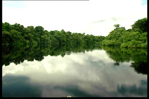 River path 動画素材 67160