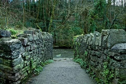 River Path Stock-Fotos