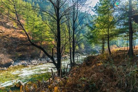 River path Stock Photos