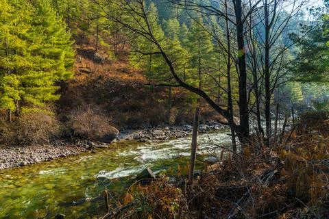 River path Stock Photos