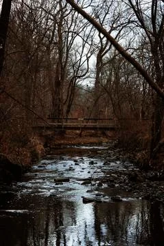 River pathway Stock Photos