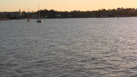 River at peace Stock Footage 88705922