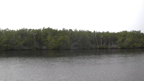 River at peace Stock Footage 88868869