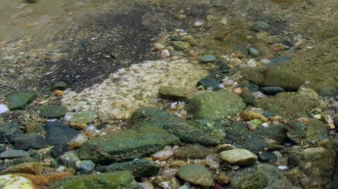 River Pebbles 库存影片 237843