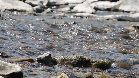 River Pebbles Shallow Zoom Out 20Secs  HD Stock Footage 132093071