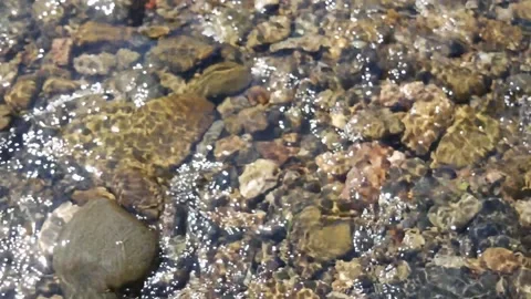 River Pebbles Soft Focus In Close Up 15secs  HD Stock Footage 132093051